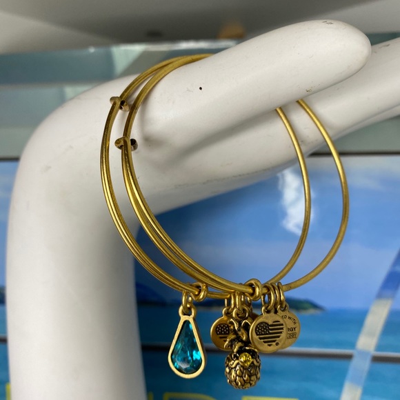 Alex and Ani 4 charm bracelet bundle - Picture 9 of 16